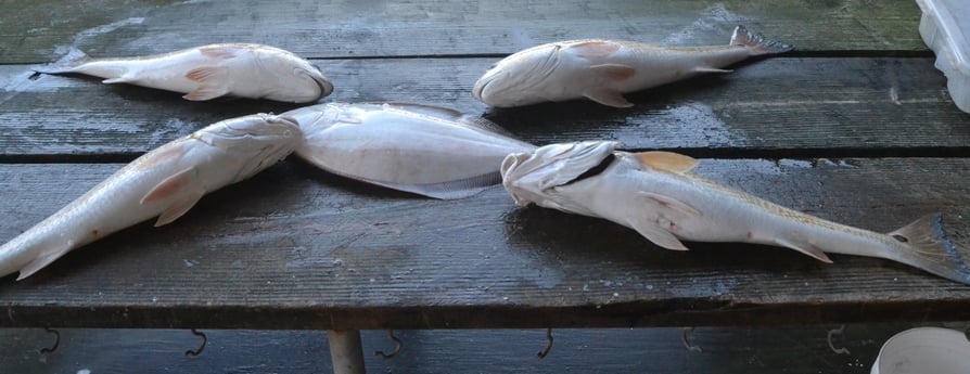 Flounder, Redfish fishing in Galveston, Texas