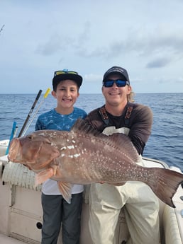 Cobia fishing in Clearwater, Florida