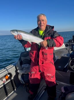 Steelhead Fishing in Port Clinton, Ohio