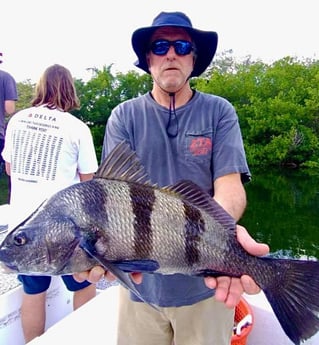 Black Drum Fishing in Sarasota, Florida