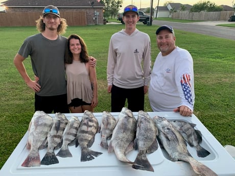 Black Drum, Redfish fishing in Rockport, Texas