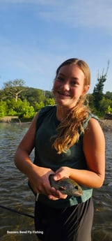 Rainbow Trout Fishing in Broken Bow, Oklahoma