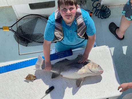 Black Drum fishing in Galveston, Texas