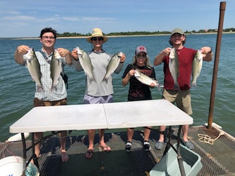 Striped Bass fishing in Burnet, Texas