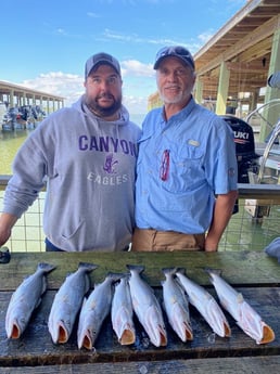 Speckled Trout / Spotted Seatrout fishing in Galveston, Texas