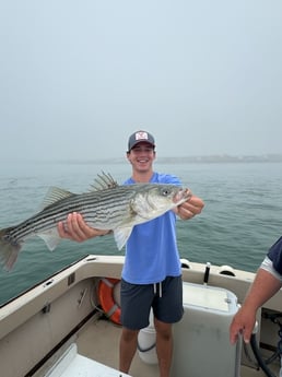 Fishing in Hampton Bays, New York