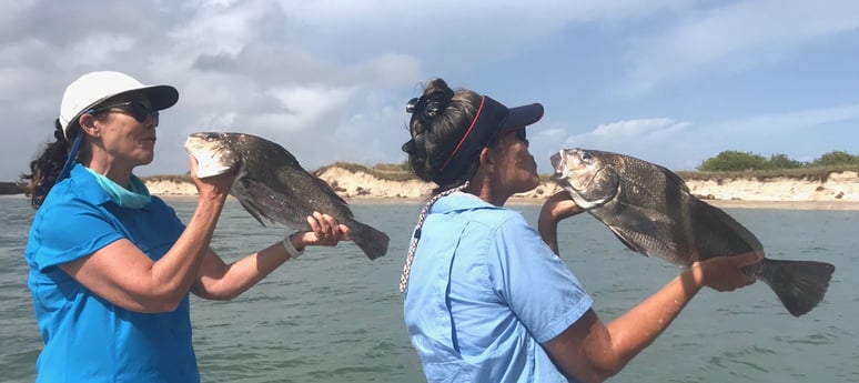 Black Drum fishing in Port Aransas, Texas