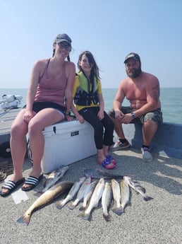 Black Drum, Redfish, Speckled Trout Fishing in Galveston, Texas