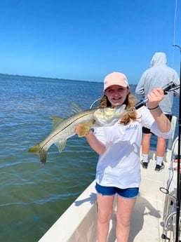 Speckled Trout / Spotted Seatrout fishing in Sarasota, Florida