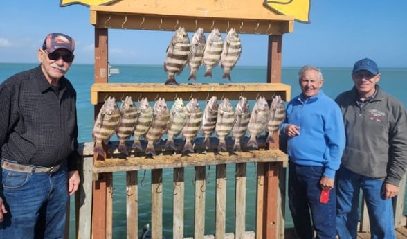 Sheepshead Fishing in Port Isabel, Texas