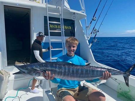 Cero Mackerel fishing in Marathon, Florida