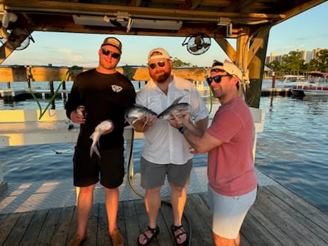 Fishing in Orange Beach, Alabama