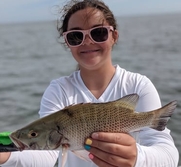 Mangrove Snapper fishing in Tampa, Florida