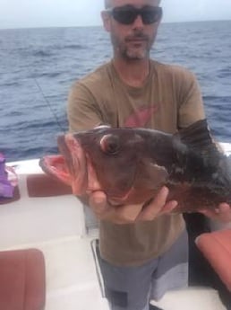 Red Grouper Fishing in Key Largo, Florida