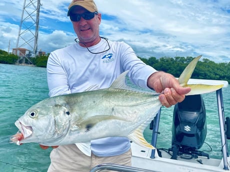 Jack Crevalle fishing in Tavernier, Florida