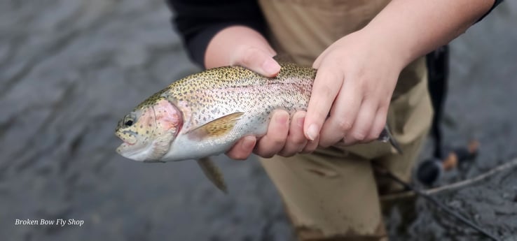 Fishing in Broken Bow, Oklahoma