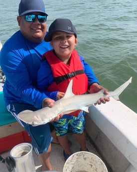 Bonnethead Shark fishing in Corpus Christi, Texas