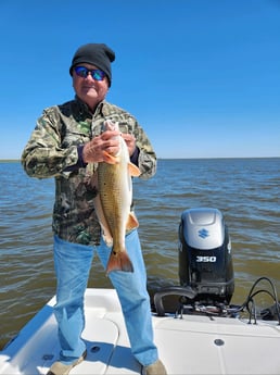 Redfish Fishing in Yscloskey, Louisiana