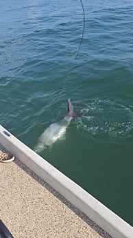 Fishing in Port O&#039;Connor, Texas