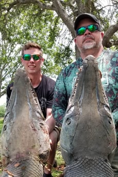 Alligator Gar fishing in Livingston, Texas