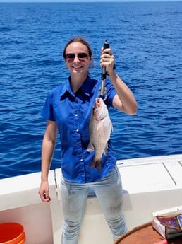 Mangrove Snapper Fishing in Galveston, Texas