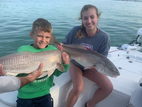 Redfish fishing in Sarasota, Florida