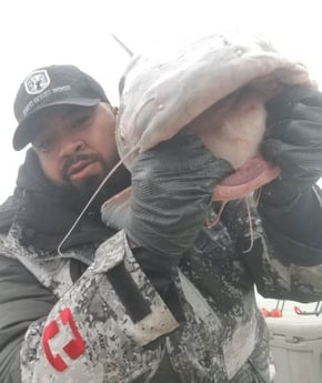 Blue Catfish fishing in Dallas, Texas