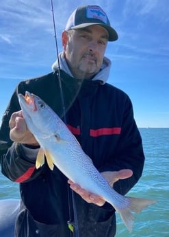 Speckled Trout / Spotted Seatrout Fishing in Beaufort, North Carolina