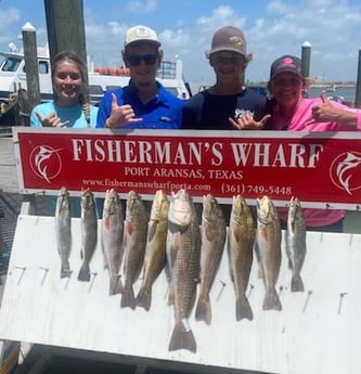 Redfish, Speckled Trout / Spotted Seatrout fishing in Ingleside, Texas