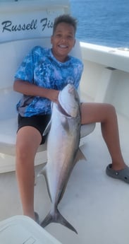 Amberjack Fishing in Panama City, Florida