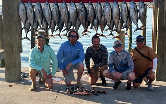 Blackfin Tuna, Mangrove Snapper fishing in Port Aransas, Texas