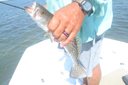 Speckled Trout / Spotted Seatrout fishing in Aransas Pass, Texas