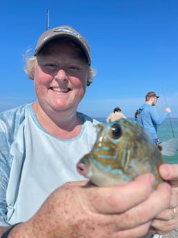 Fishing in Sarasota, Florida