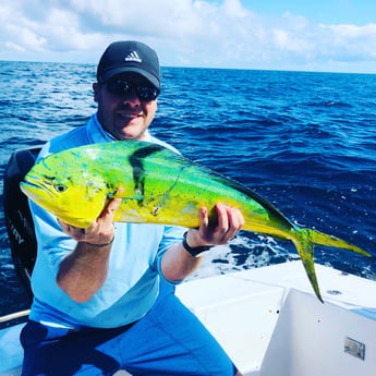 Mahi Mahi / Dorado fishing in Surfside Beach, Texas