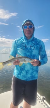 Snook Fishing in Islamorada, Florida