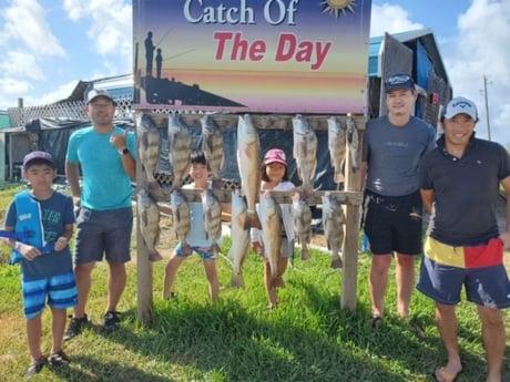 Black Drum, Redfish fishing in Rockport, Texas