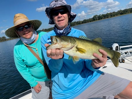 Largemouth Bass Fishing in Clearwater, Florida