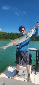 Barracuda Fishing in Islamorada, Florida