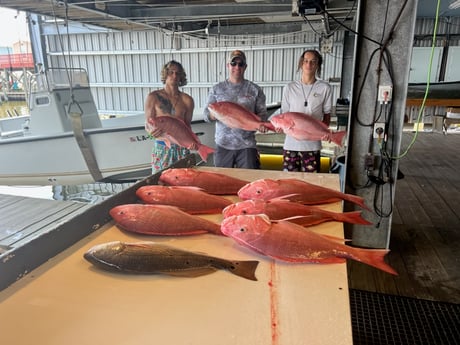 Red Snapper, Redfish Fishing in Buras, Louisiana