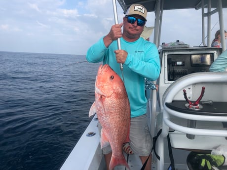 Red Snapper Fishing in Pensacola, Florida