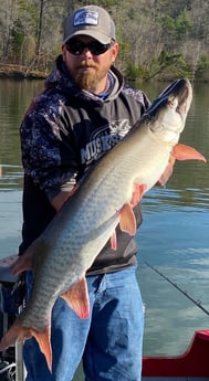 Muskie fishing in Knoxville, Tennessee