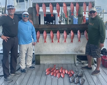 Almaco Jack, Vermillion Snapper Fishing in Destin, Florida