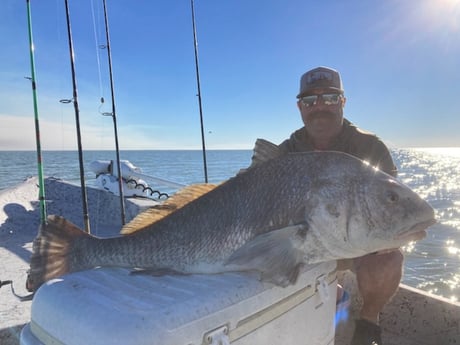 Black Drum Fishing in Rockport, Texas