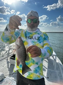 Fishing in South Padre Island, Texas