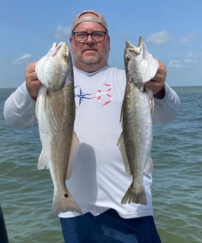 Redfish, Speckled Trout / Spotted Seatrout fishing in Galveston, Texas