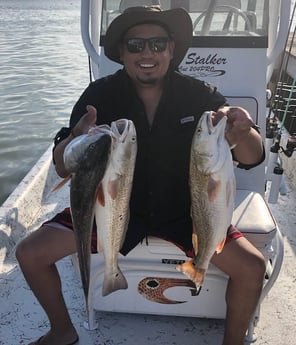 Redfish fishing in South Padre Island, Texas