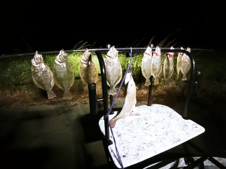 Flounder fishing in Rio Hondo, Texas