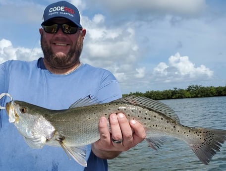 Speckled Trout / Spotted Seatrout fishing in New Smyrna Beach, Florida