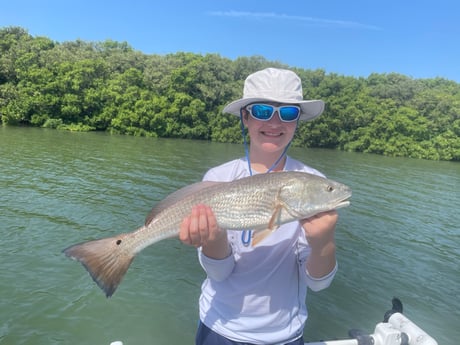 Redfish fishing in Clearwater, Florida