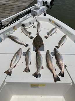 Flounder, Speckled Trout / Spotted Seatrout fishing in Texas City, Texas